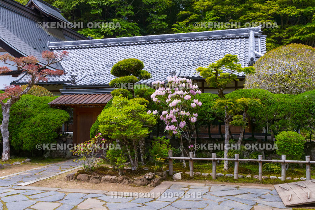 奈良県　シャクナゲ咲く室生寺　本坊