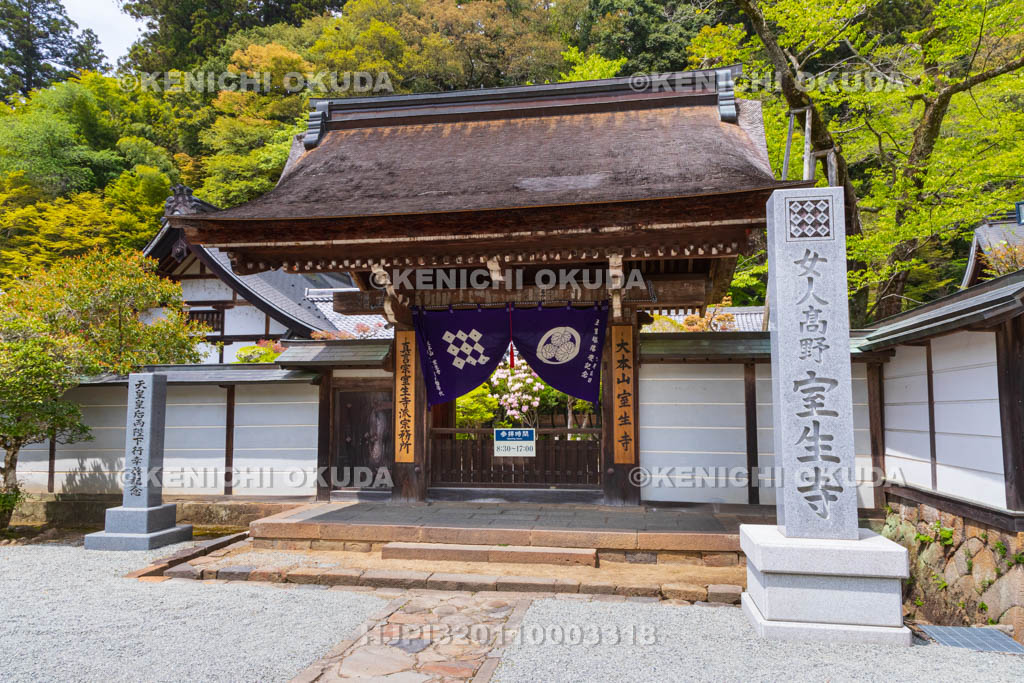 奈良県　シャクナゲ咲く室生寺　本坊山門