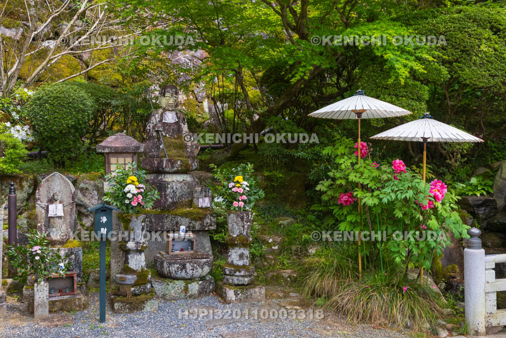 奈良県　ボタン咲く岡寺　仁王門付近