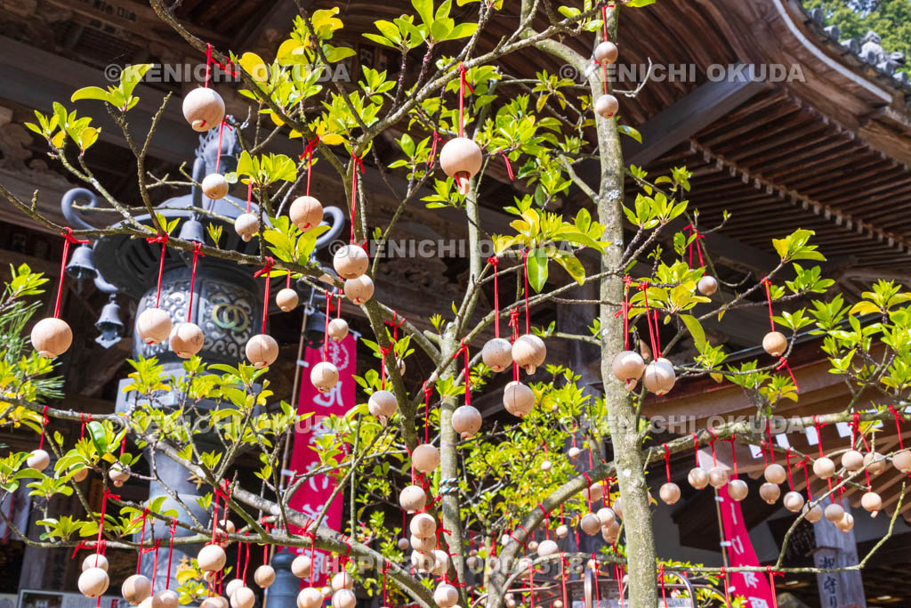 奈良県　岡寺　本堂と龍玉願い珠（りゅうぎょくねがいだま）