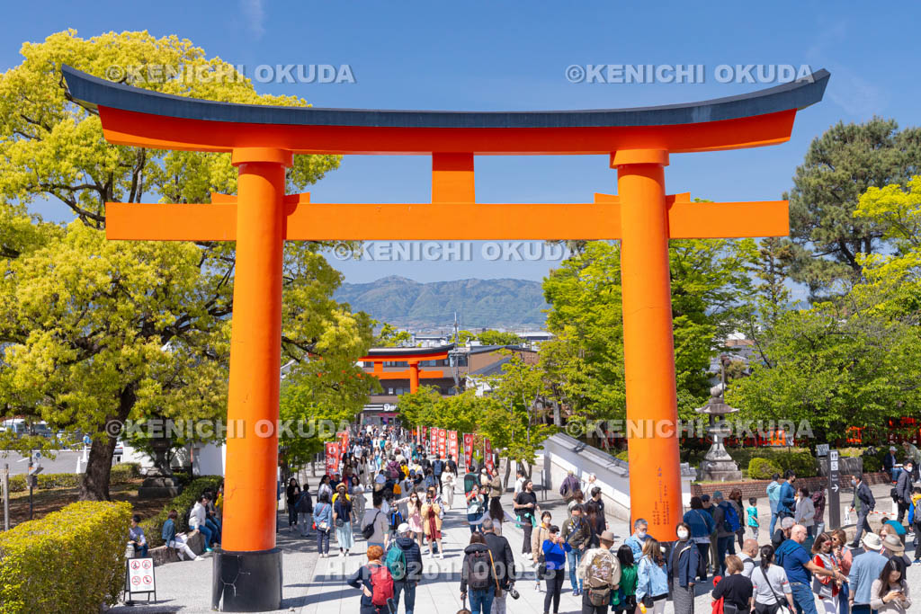 京都府　伏見稲荷大社　賑わう参道