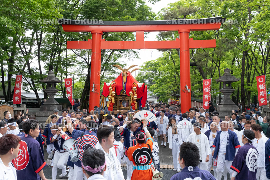 京都府　伏見稲荷大社　稲荷祭（区内巡幸）　発輿