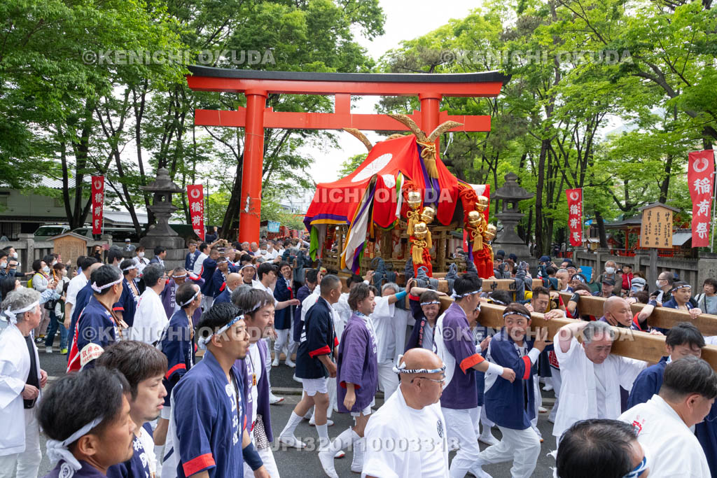 京都府　伏見稲荷大社　稲荷祭（区内巡幸）　発輿