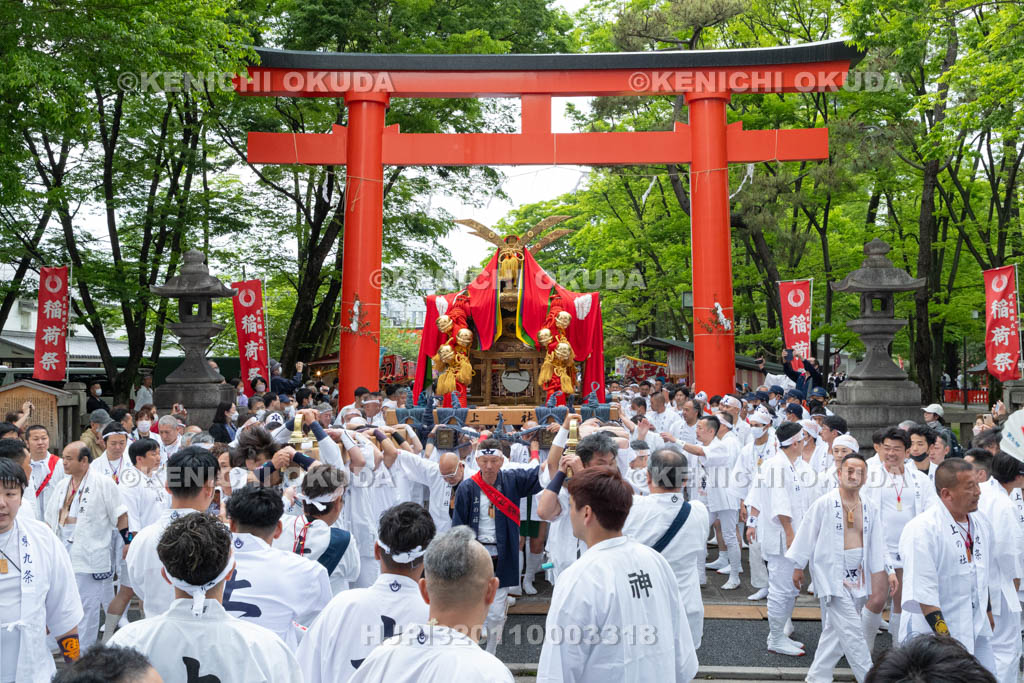 京都府　伏見稲荷大社　稲荷祭（区内巡幸）　発輿