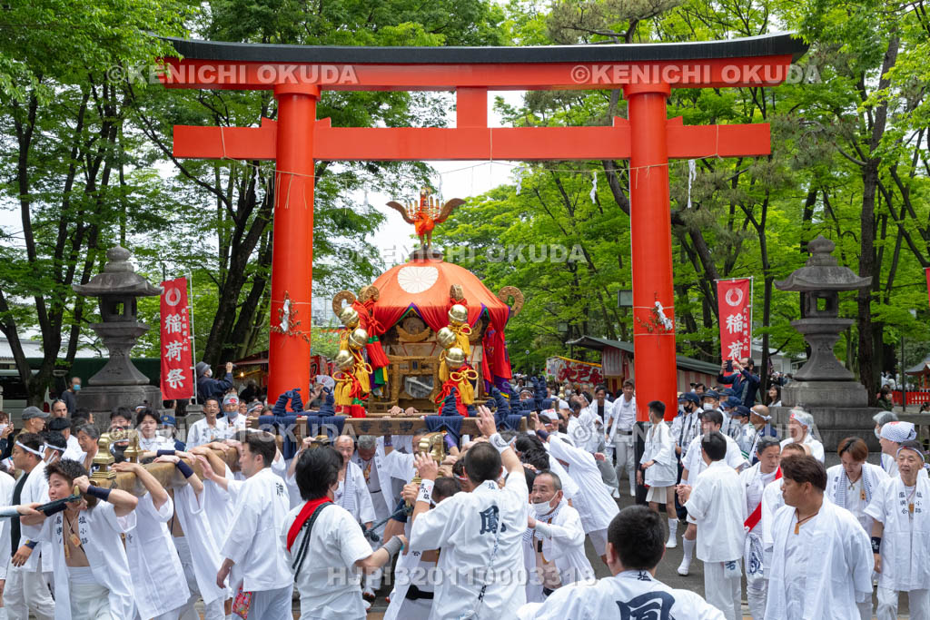 京都府　伏見稲荷大社　稲荷祭（区内巡幸）　発輿