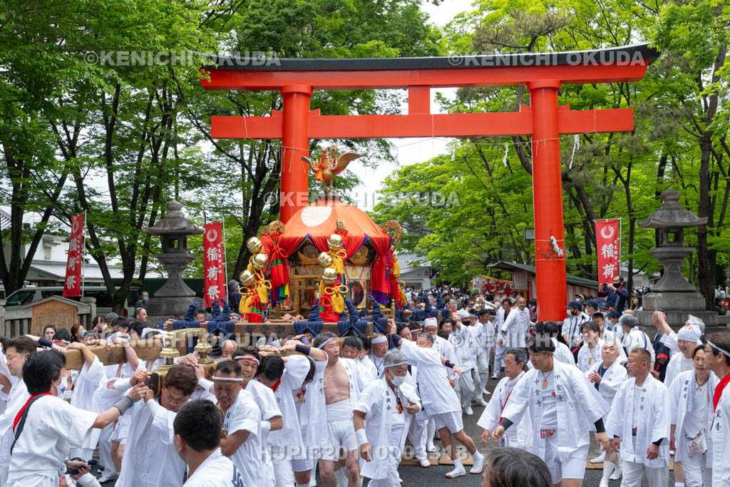 京都府　伏見稲荷大社　稲荷祭（区内巡幸）　発輿