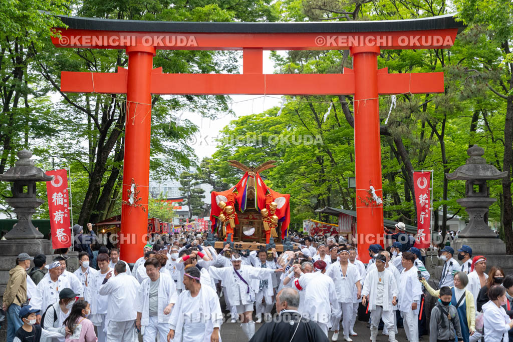 京都府　伏見稲荷大社　稲荷祭（区内巡幸）　発輿