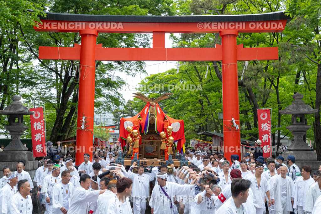 京都府　伏見稲荷大社　稲荷祭（区内巡幸）　発輿