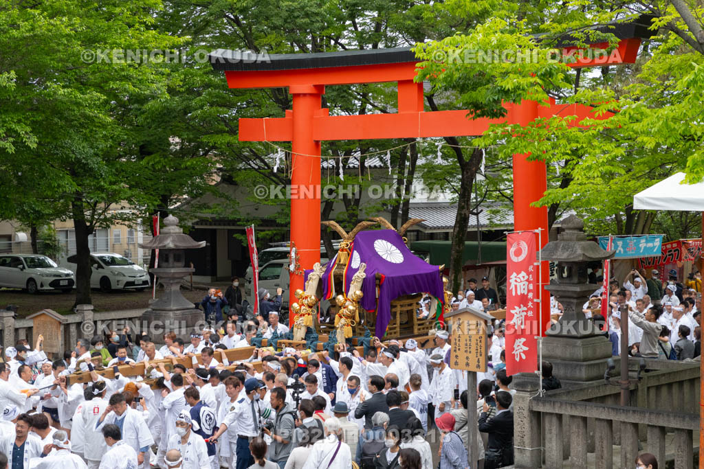 京都府　伏見稲荷大社　稲荷祭（区内巡幸）　発輿