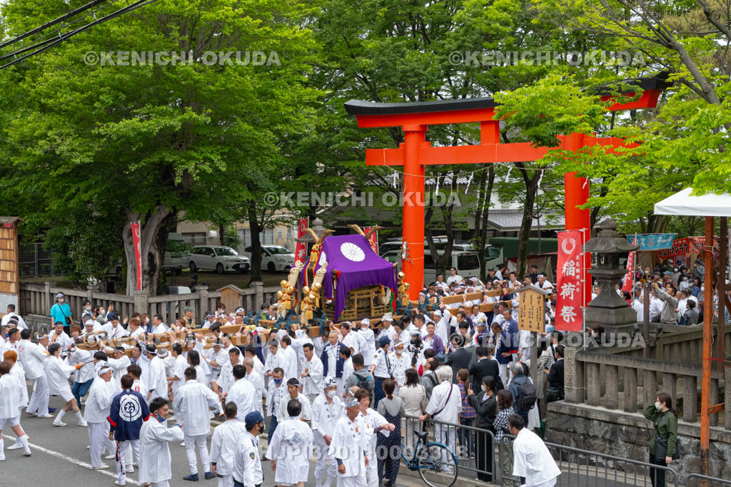 京都府　伏見稲荷大社　稲荷祭（区内巡幸）　発輿