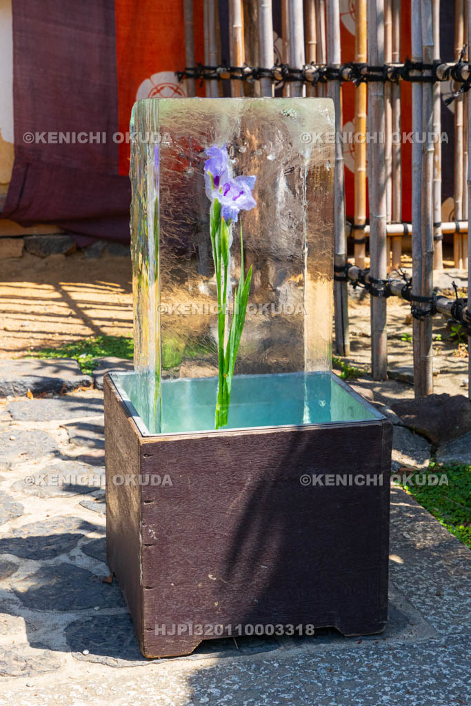 奈良県　氷室神社　献氷祭　参道の花氷
