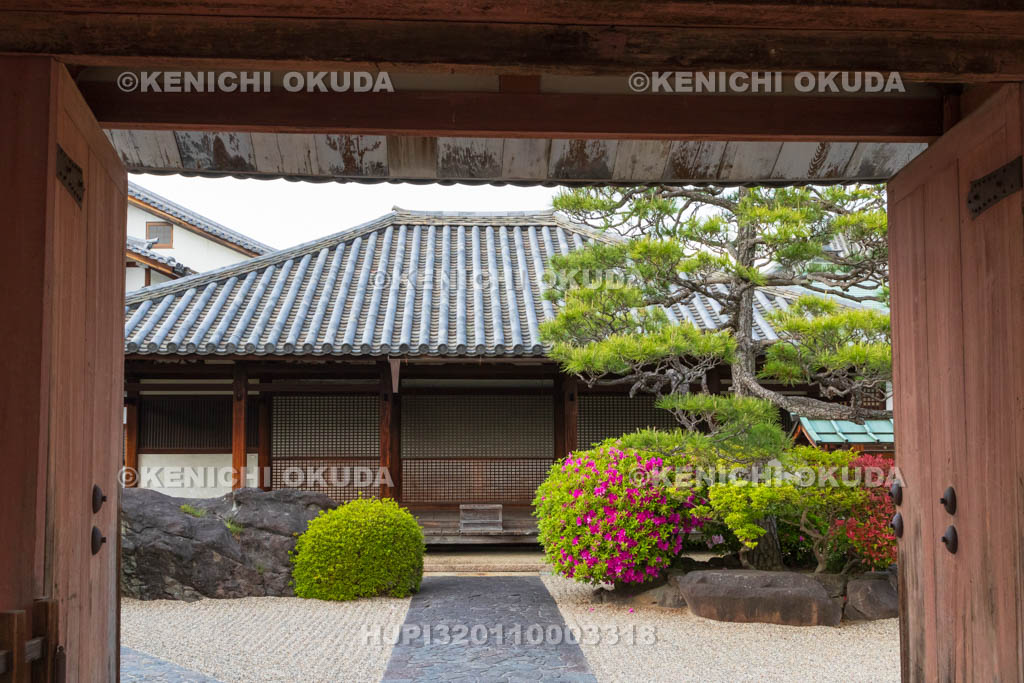 奈良県　ツツジ咲く十輪院　南門（重文）から望む本堂（国宝）