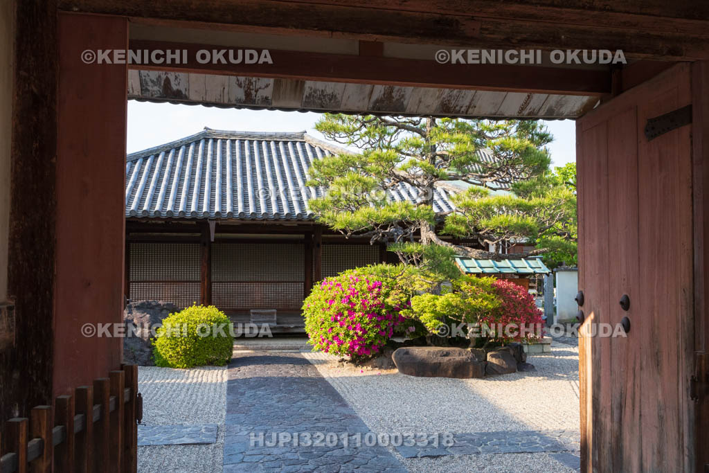 奈良県　ツツジ咲く十輪院　南門（重文）から望む本堂（国宝）