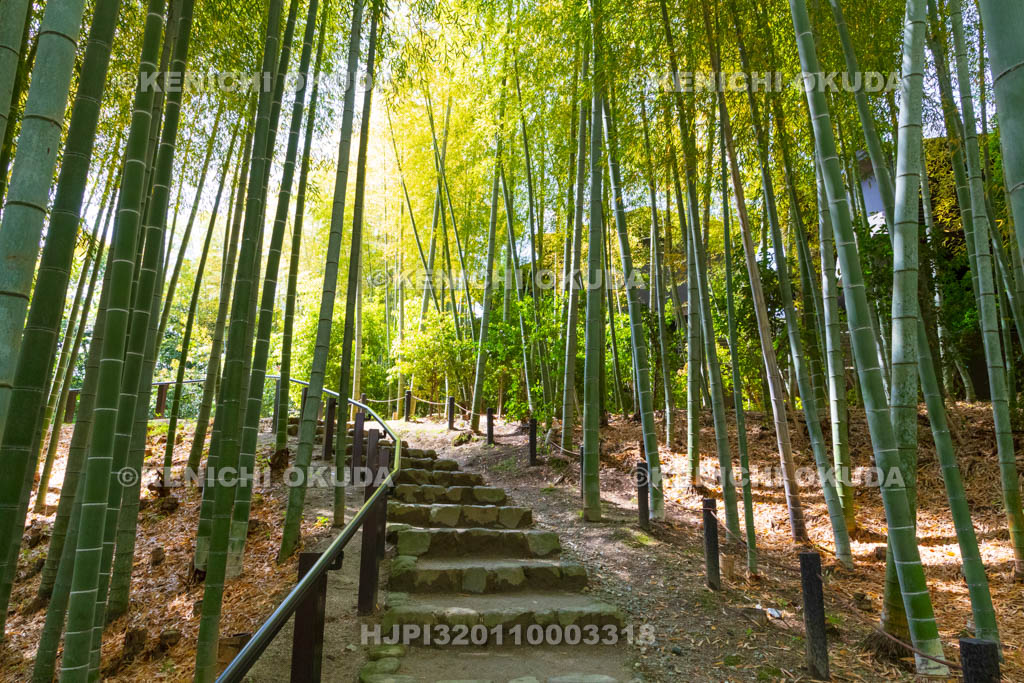 奈良県　瑜伽山園地（ゆうがやまえんち）　旧山口氏南都別邸庭園　竹林