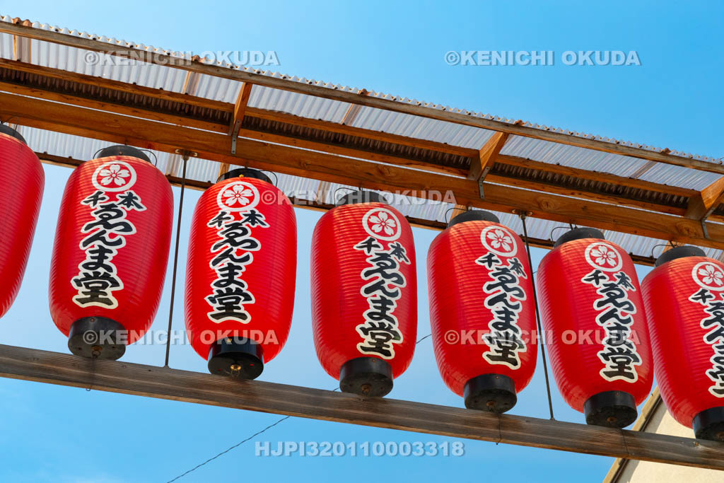 京都府　千本ゑんま堂（引接寺）　提灯