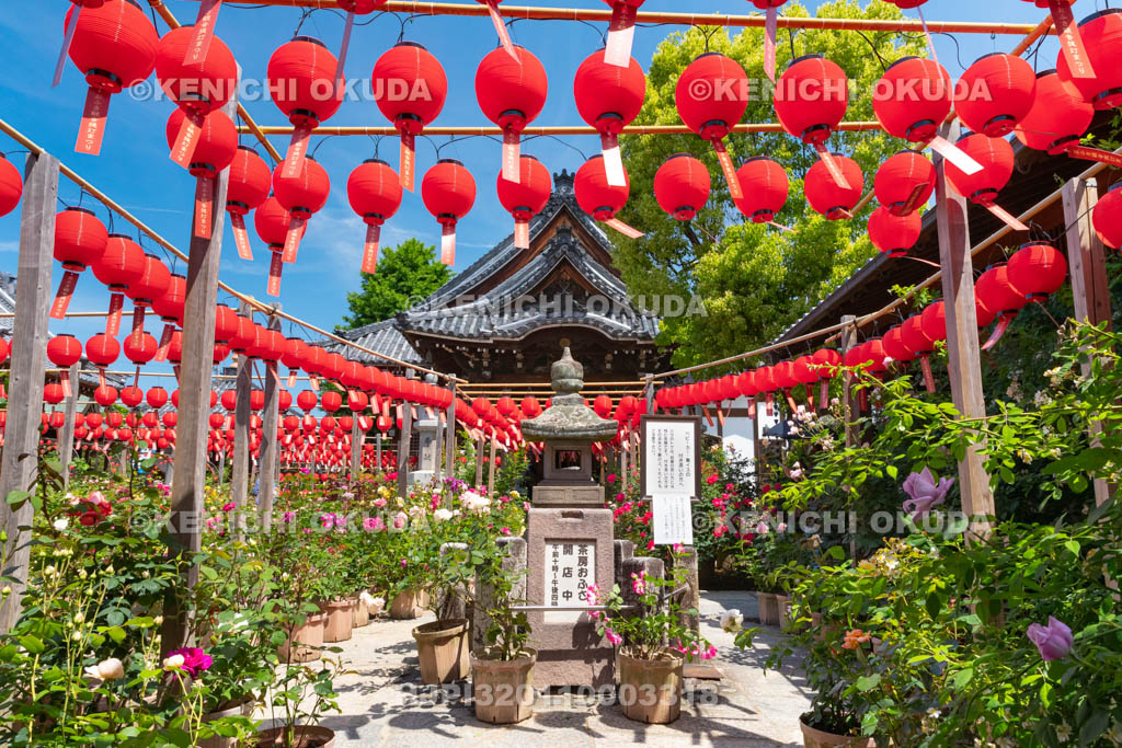 奈良県　おふさ観音　提灯まつり　花まんだら