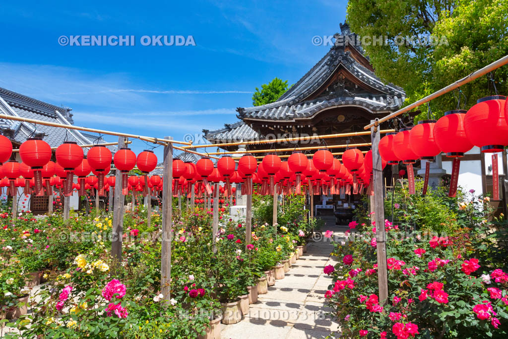 奈良県　おふさ観音　提灯まつり　花まんだら
