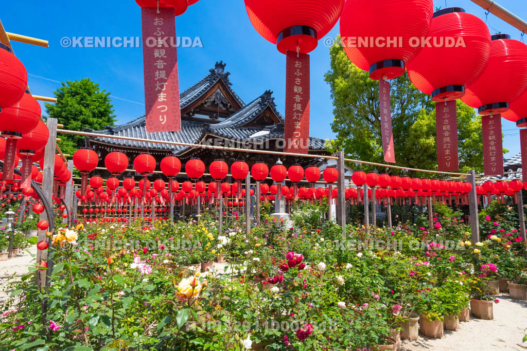 奈良県　おふさ観音　提灯まつり　花まんだら