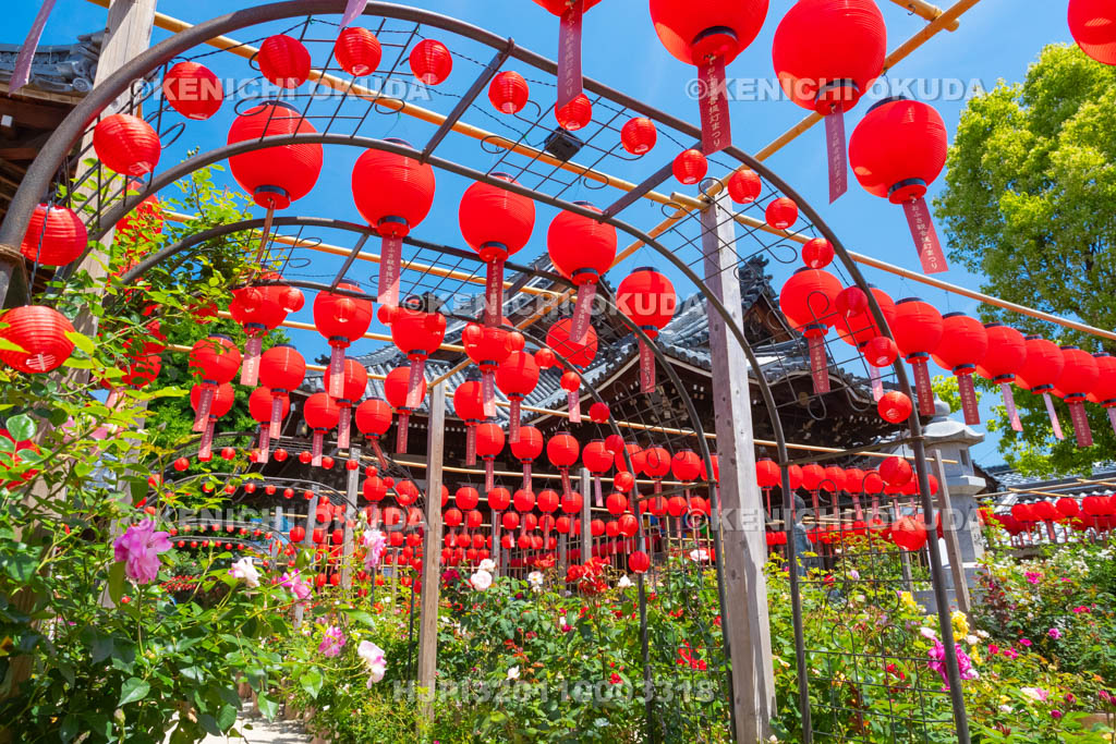 奈良県　おふさ観音　提灯まつり　花まんだら
