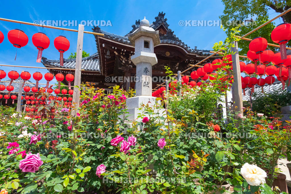 奈良県　おふさ観音　提灯まつり　花まんだら