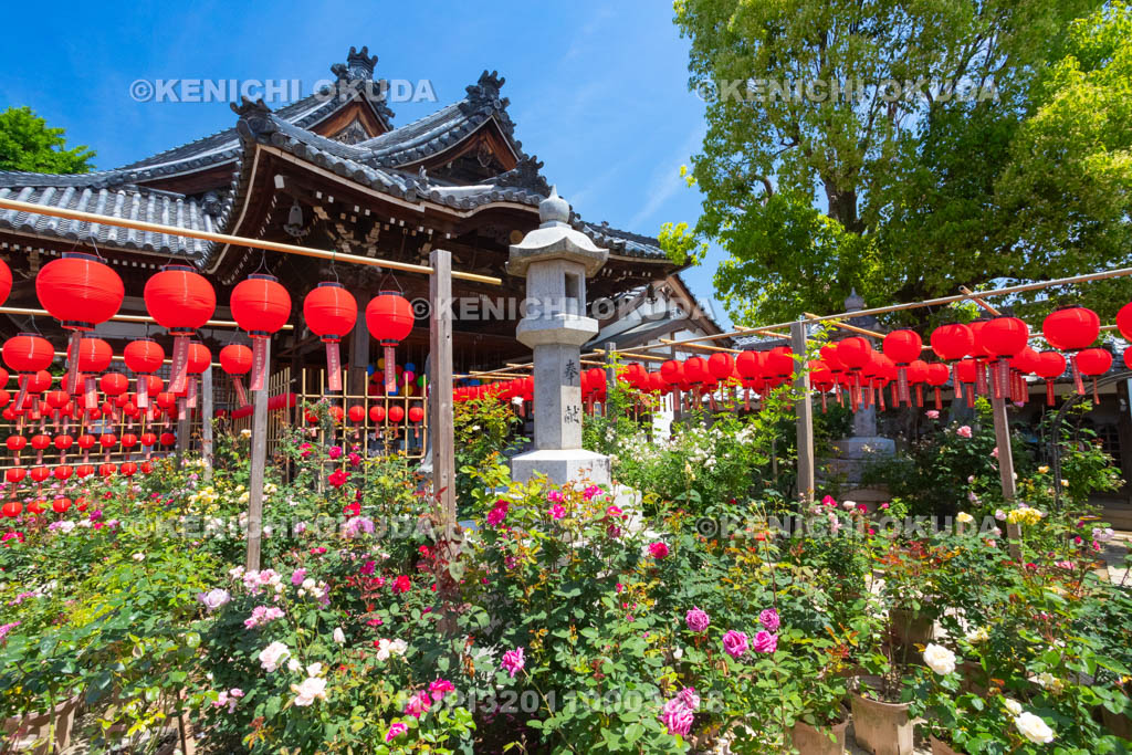 奈良県　おふさ観音　提灯まつり　花まんだら