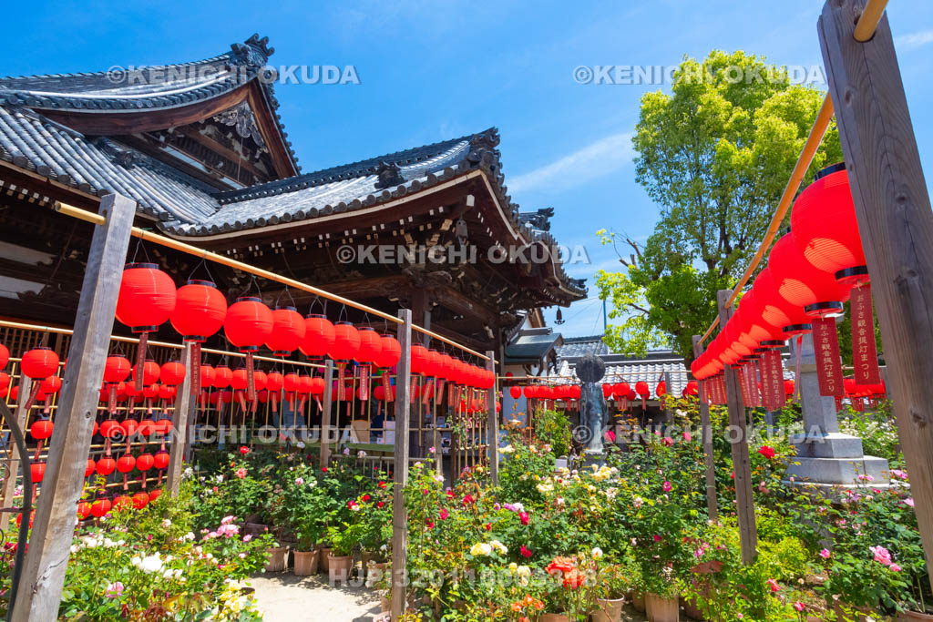 奈良県　おふさ観音　提灯まつり　花まんだら