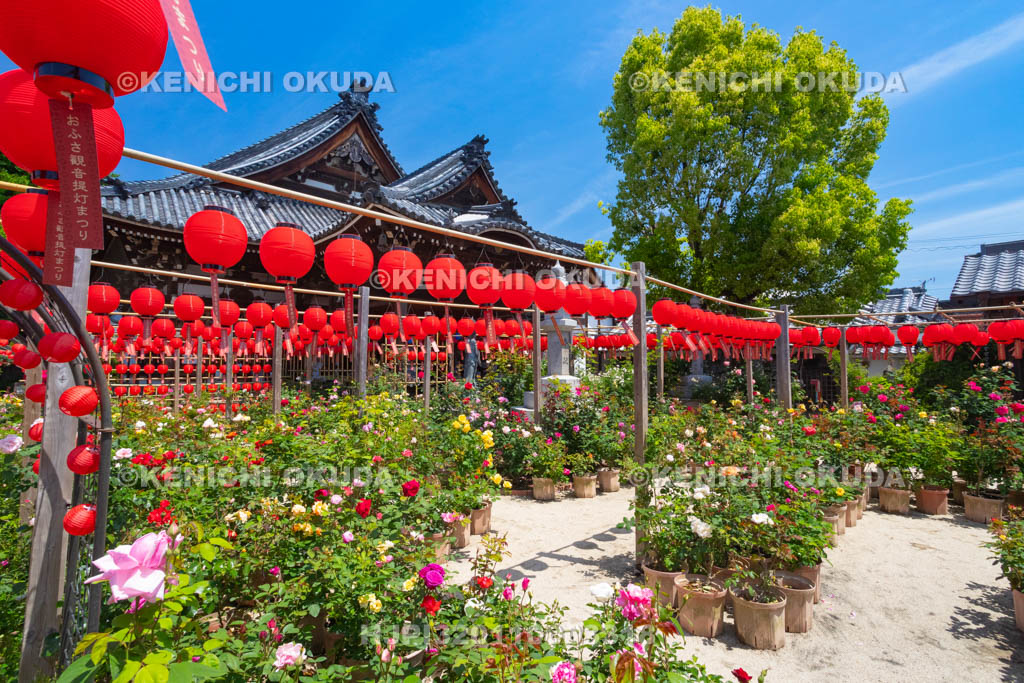 奈良県　おふさ観音　提灯まつり　花まんだら