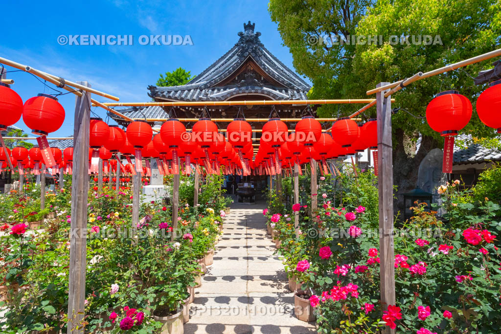 奈良県　おふさ観音　提灯まつり　花まんだら