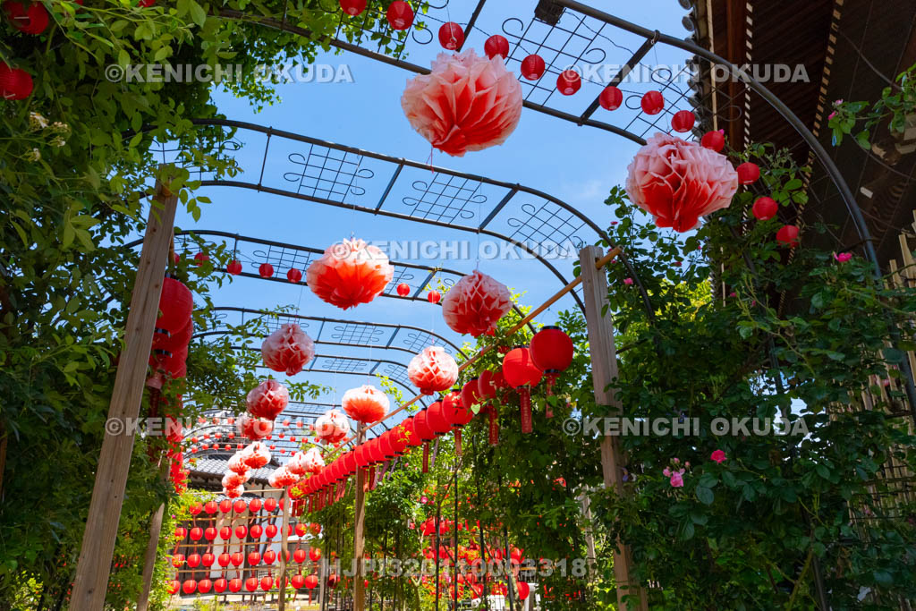 奈良県　おふさ観音　提灯まつり
