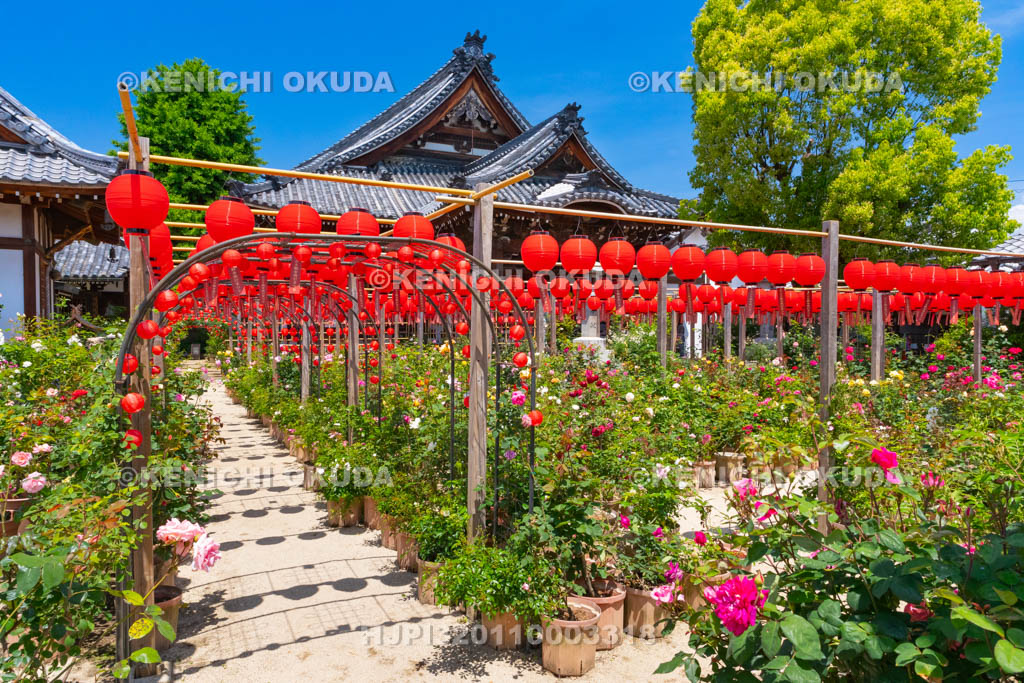 奈良県　おふさ観音　提灯まつり　花まんだら