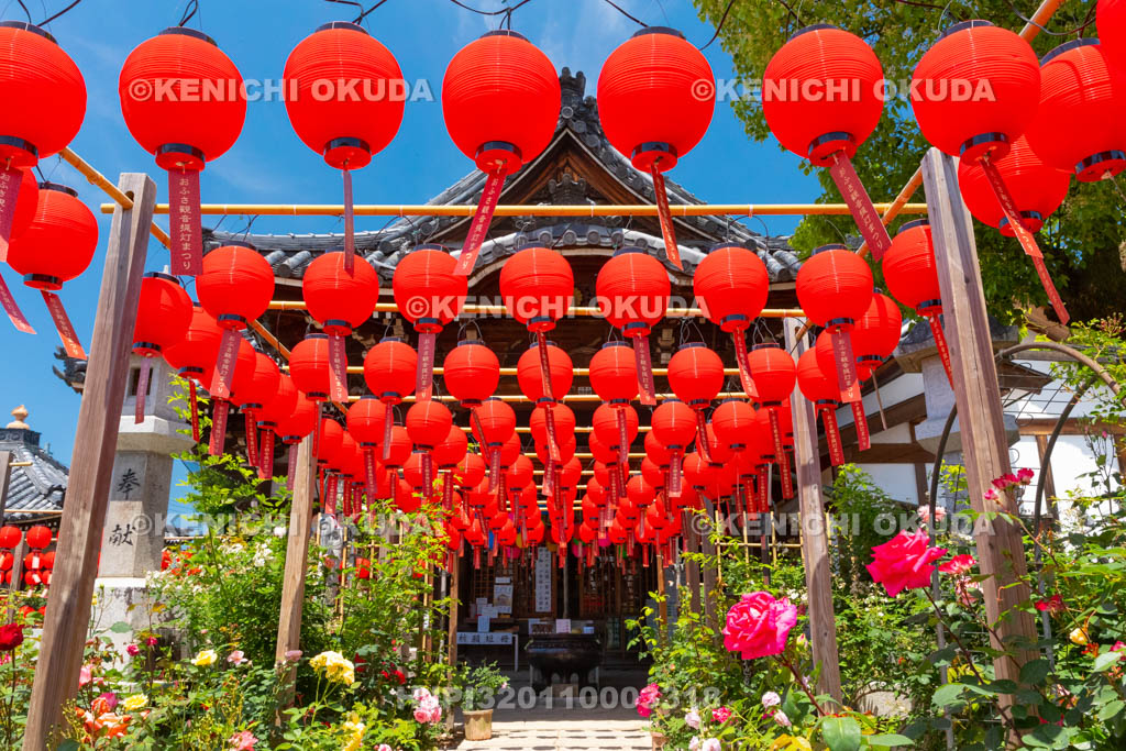 奈良県　おふさ観音　提灯まつり　花まんだら
