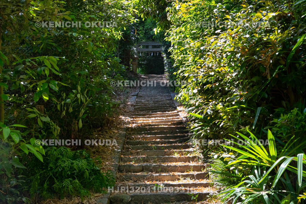奈良県　御厨子神社　参道