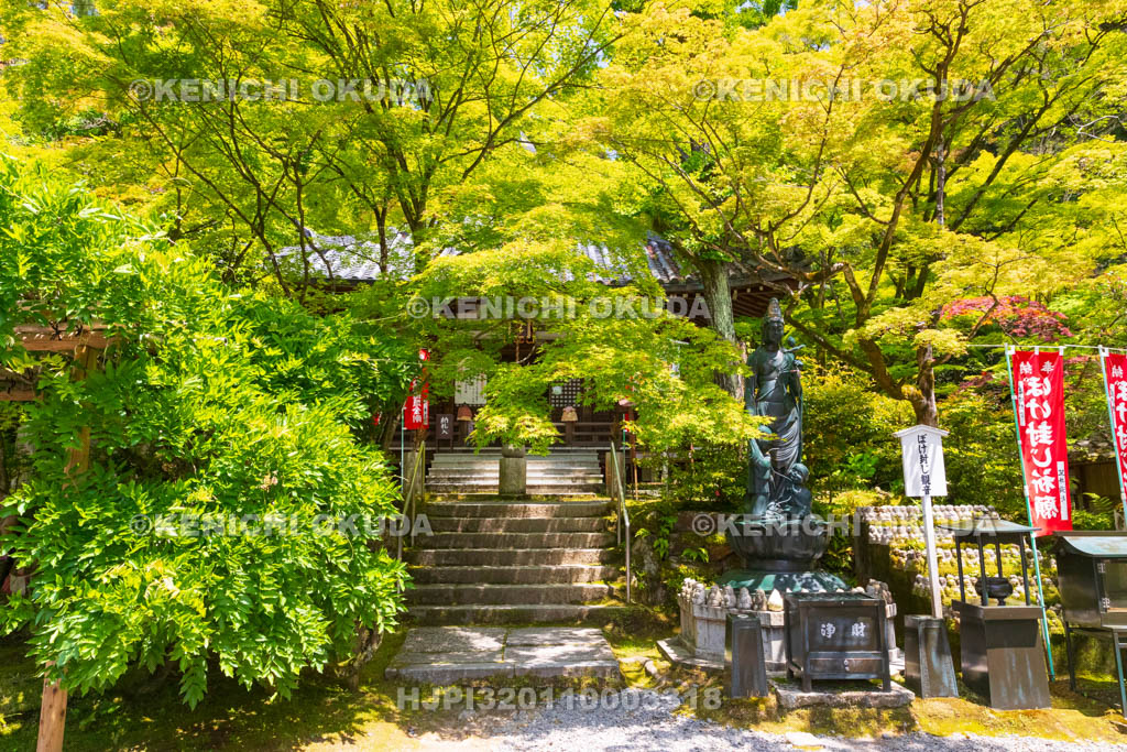 京都府　今熊野観音寺　ぼけ封じ観音と大師堂