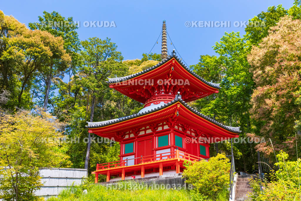 京都府　今熊野観音寺　医聖堂