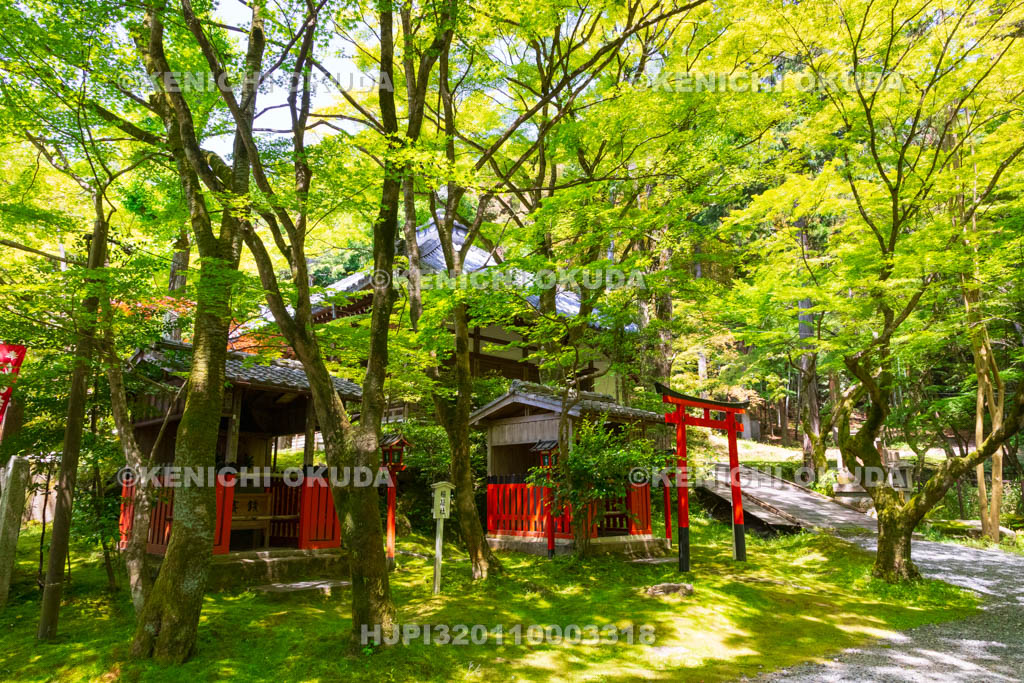 京都府　今熊野観音寺　鎮守社