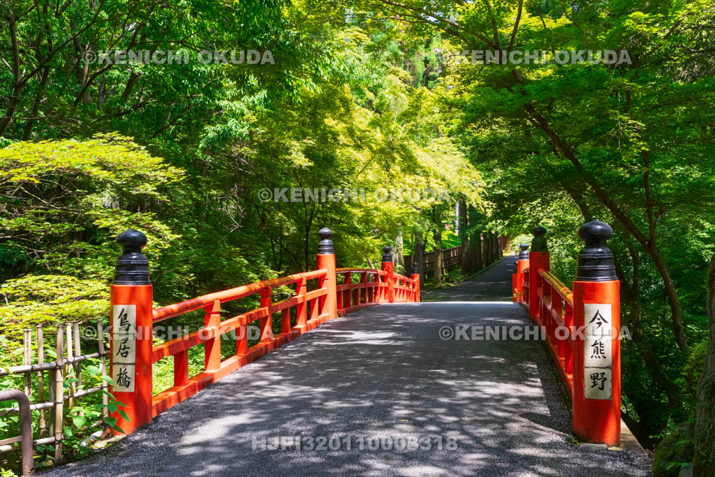 京都府　今熊野観音寺　鳥居橋