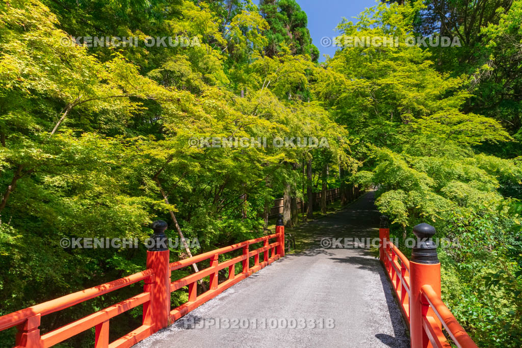 京都府　今熊野観音寺　鳥居橋