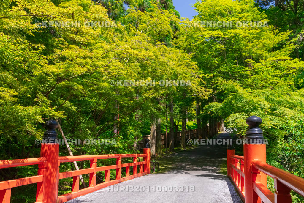 京都府　今熊野観音寺　鳥居橋