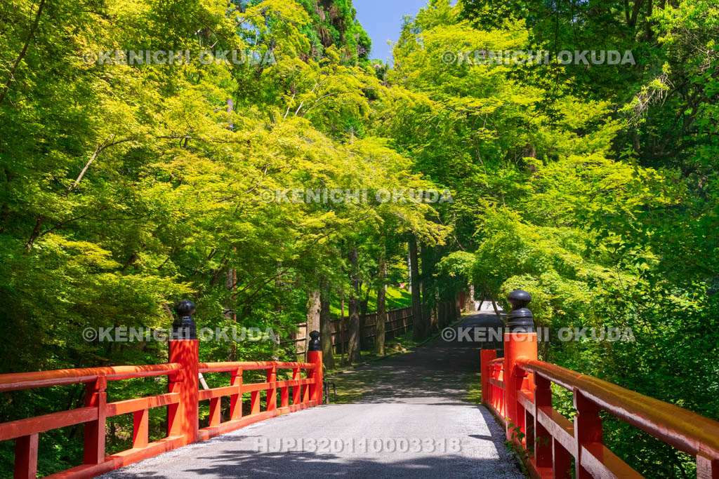 京都府　今熊野観音寺　鳥居橋