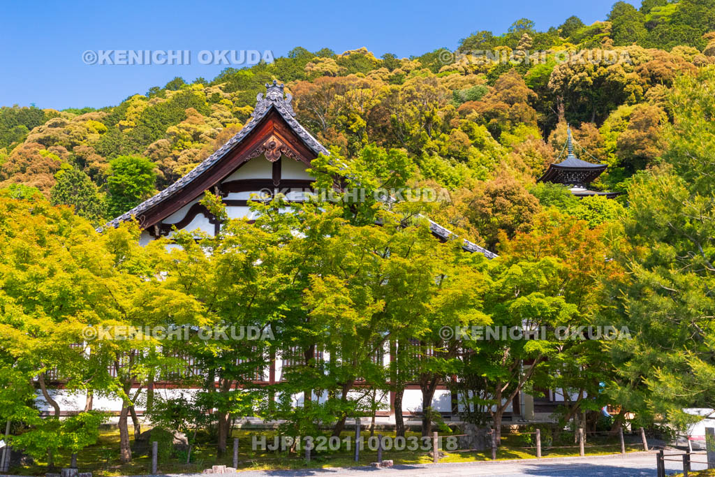 京都府　永観堂禅林寺　鶴寿台と多宝塔