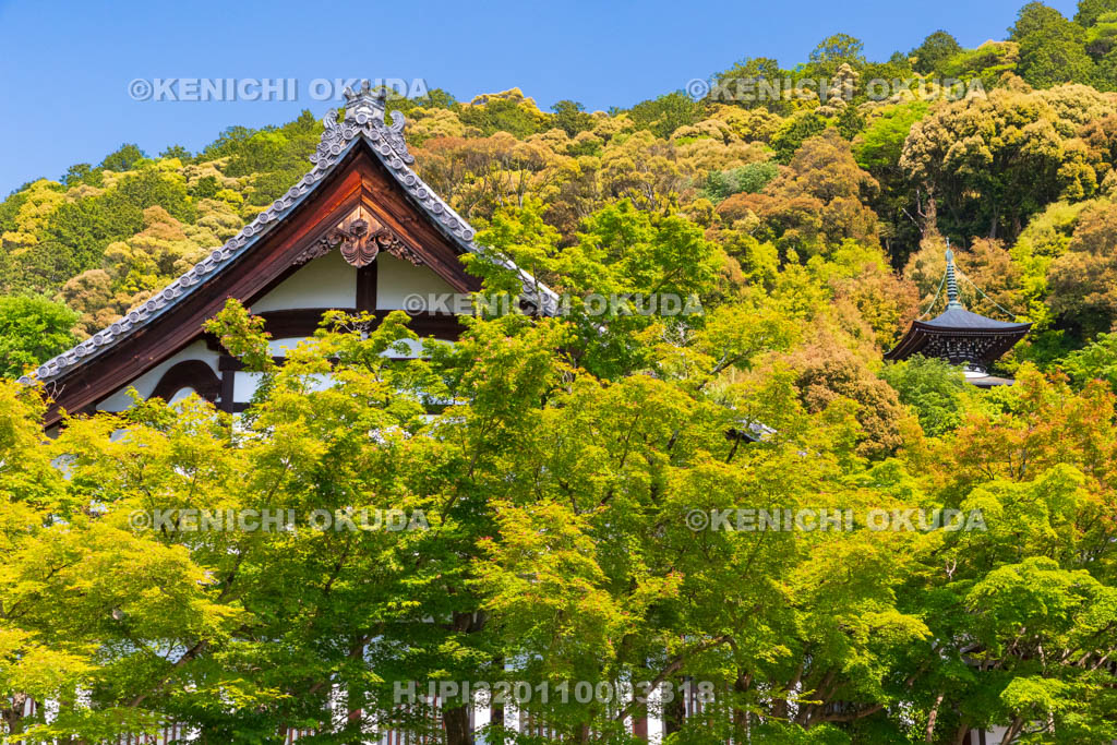 京都府　永観堂禅林寺　鶴寿台と多宝塔