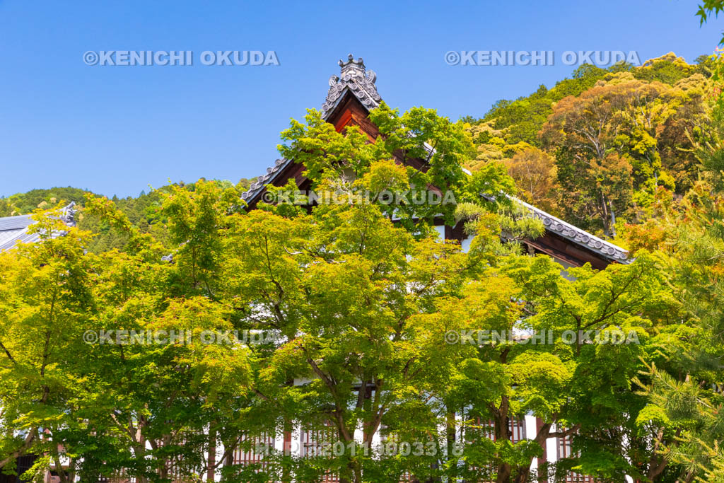 京都府　永観堂禅林寺　鶴寿台