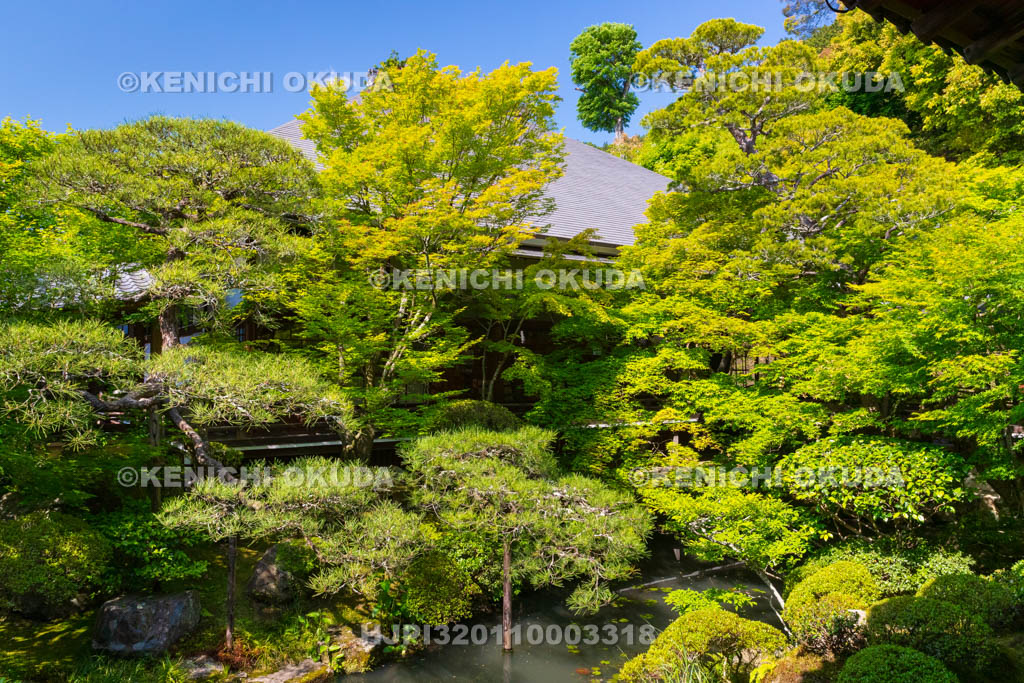 京都府　永観堂禅林寺　方丈北庭