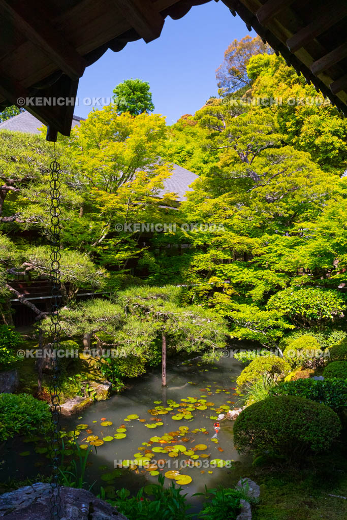 京都府　永観堂禅林寺　方丈北庭