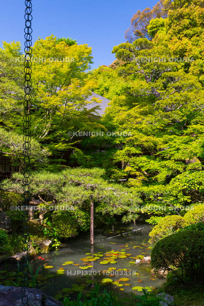 京都府　永観堂禅林寺　方丈北庭