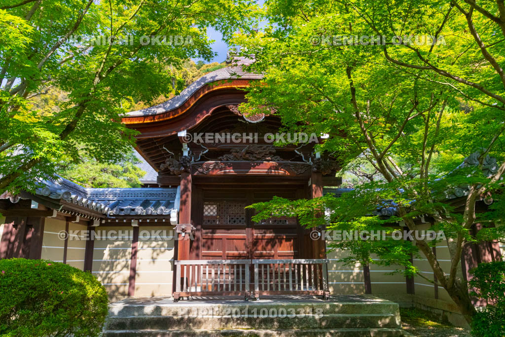 京都府　永観堂禅林寺　唐門