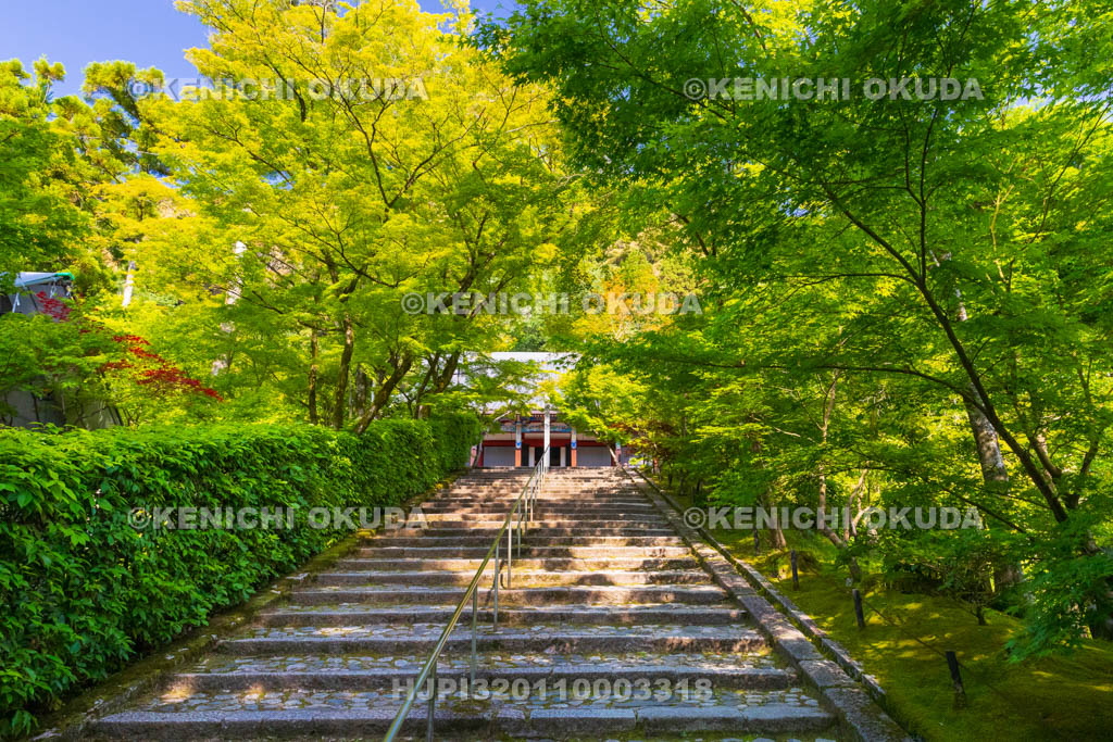 京都府　永観堂禅林寺　阿弥陀堂（本堂）前の石段