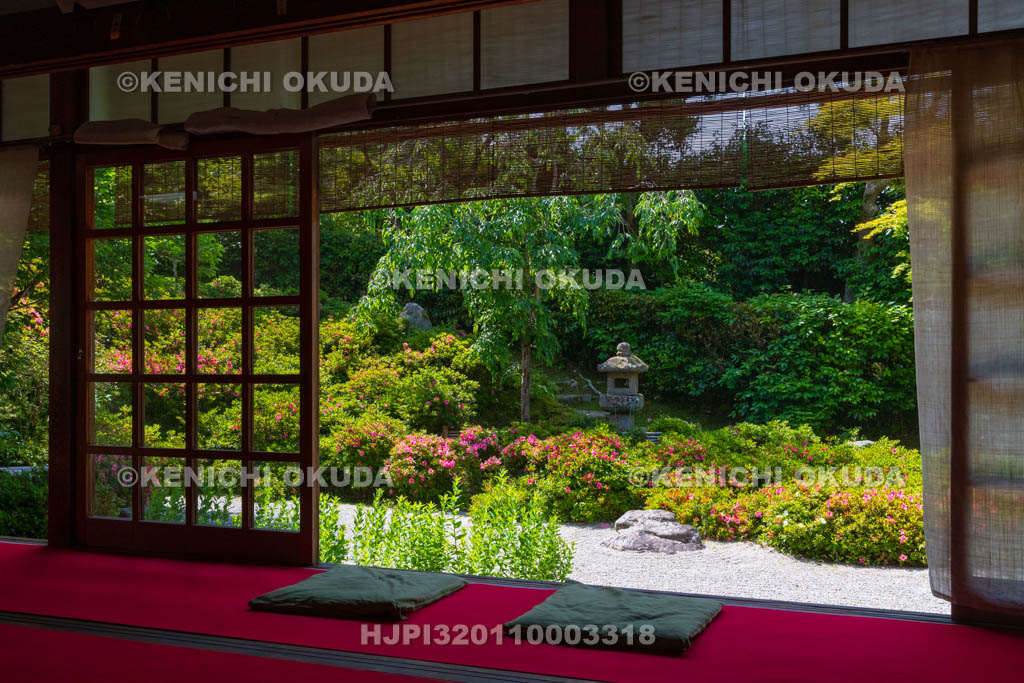 京都府　金福寺　サツキ咲く枯山水庭園