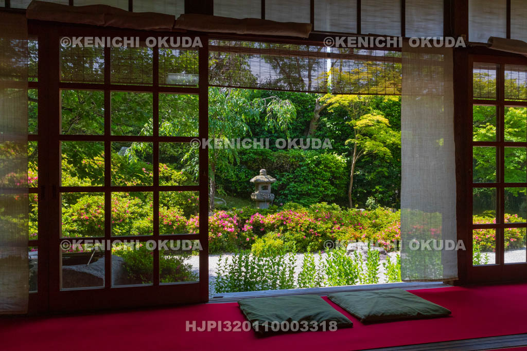 京都府　金福寺　サツキ咲く枯山水庭園