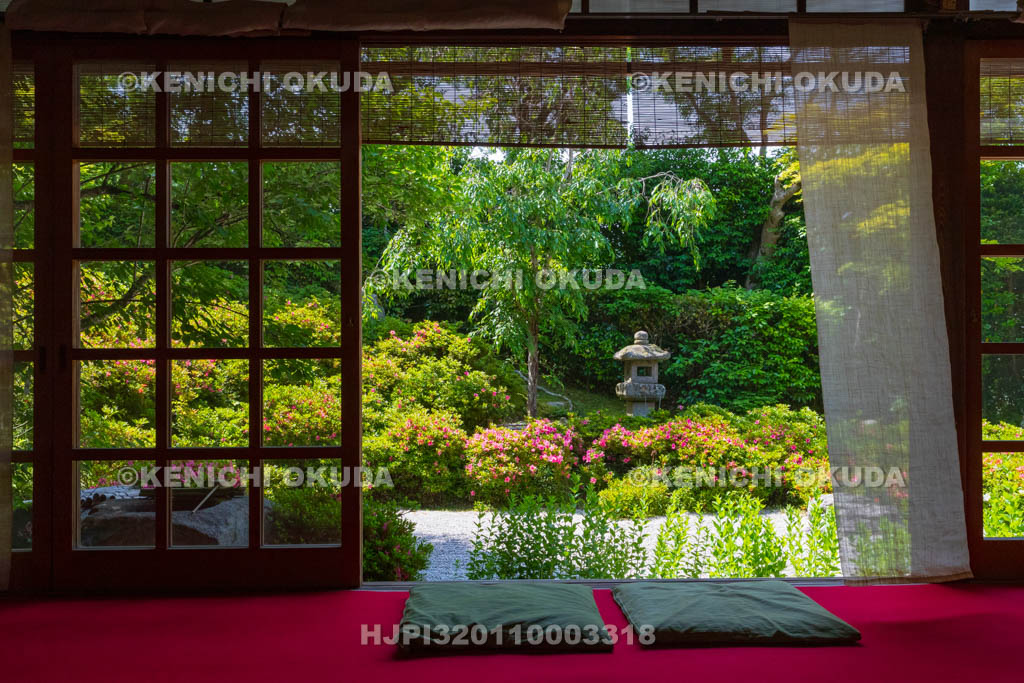 京都府　金福寺　サツキ咲く枯山水庭園